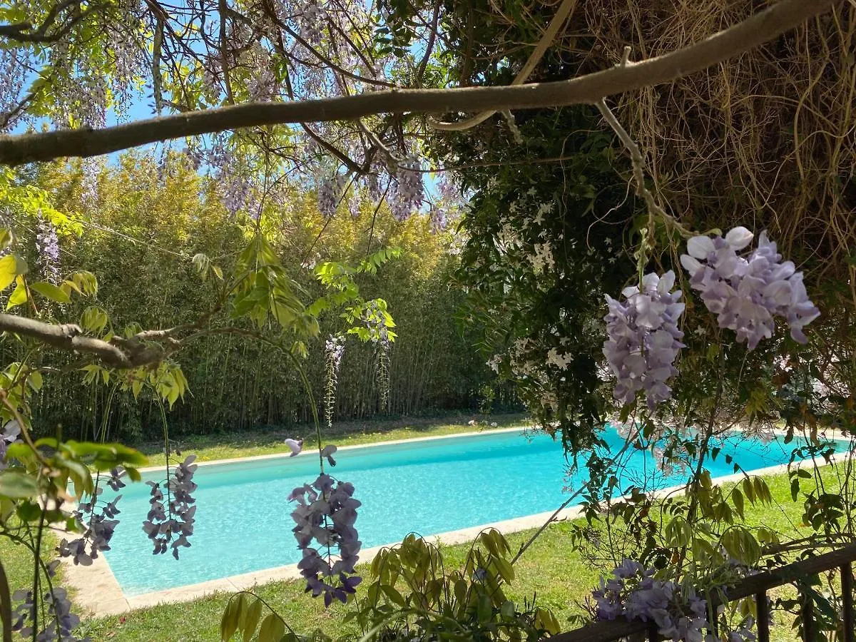 La Maison Villa Bormes-les-Mimosas